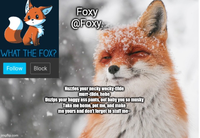 Foxy's announcement template | Nuzzles your necky wecky-tilde murr-tilde, hehe
Unzips your baggy ass pants, oof baby you so musky
Take me home, pet me, and make me yours and don't forget to stuff me~ | image tagged in foxy's announcement template | made w/ Imgflip meme maker