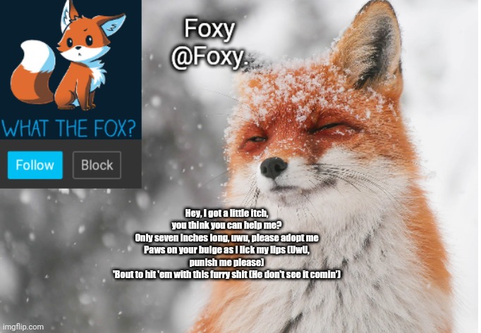 Foxy's announcement template | Hey, I got a little itch, you think you can help me?
Only seven inches long, uwu, please adopt me
Paws on your bulge as I lick my lips (UwU, punish me please)
'Bout to hit 'em with this furry shit (He don't see it comin') | image tagged in foxy's announcement template | made w/ Imgflip meme maker