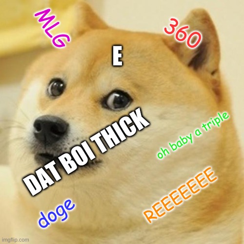 Doge Meme | MLG; 360; E; DAT BOI THICK; oh baby a triple; REEEEEEE; doge | image tagged in memes,doge | made w/ Imgflip meme maker