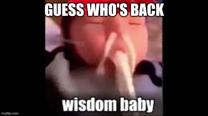 Wisdom Baby | GUESS WHO'S BACK | image tagged in wisdom baby | made w/ Imgflip meme maker