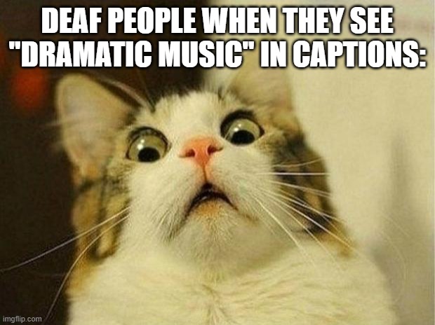 *screams in lowercase* |  DEAF PEOPLE WHEN THEY SEE "DRAMATIC MUSIC" IN CAPTIONS: | image tagged in memes,scared cat,deaf,person,dramatic music | made w/ Imgflip meme maker