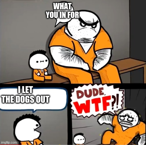he let the dogs out | WHAT YOU IN FOR; I LET THE DOGS OUT | image tagged in surprised bulky prisoner | made w/ Imgflip meme maker