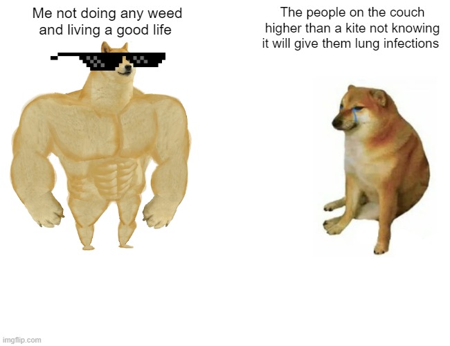 Buff Doge vs. Cheems | Me not doing any weed and living a good life; The people on the couch higher than a kite not knowing it will give them lung infections | image tagged in memes,buff doge vs cheems | made w/ Imgflip meme maker