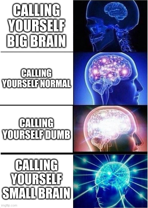 im small brain | CALLING YOURSELF BIG BRAIN; CALLING YOURSELF NORMAL; CALLING YOURSELF DUMB; CALLING YOURSELF SMALL BRAIN | image tagged in memes,expanding brain | made w/ Imgflip meme maker