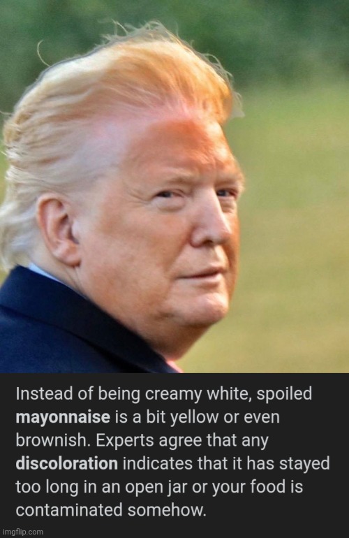 "Orange" Man Gone Bad | image tagged in trump tan,mayonnaise,spoiled brat | made w/ Imgflip meme maker