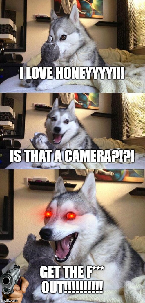 Bad Pun Dog | I LOVE HONEYYYY!!! IS THAT A CAMERA?!?! GET THE F*** OUT!!!!!!!!!! | image tagged in memes,bad pun dog | made w/ Imgflip meme maker