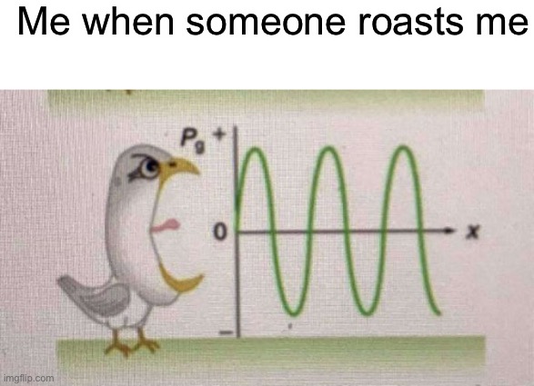 Me when someone roasts me | image tagged in blank white template | made w/ Imgflip meme maker