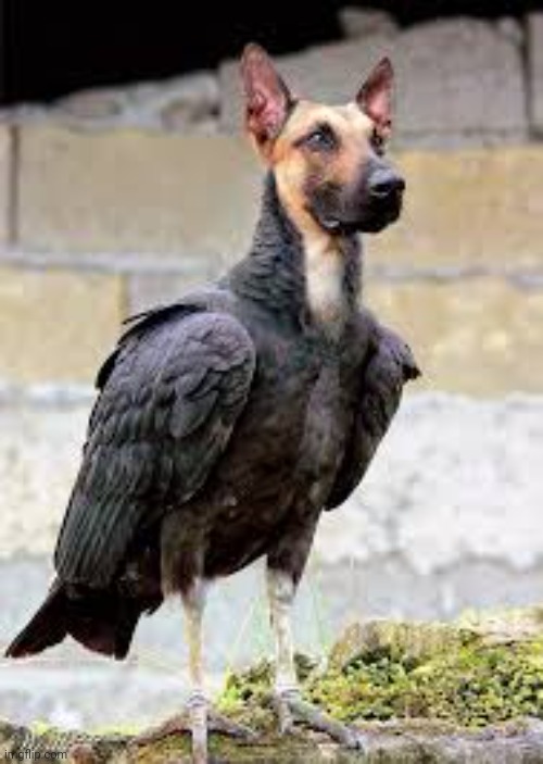 I call it  a German Turkey | made w/ Imgflip meme maker