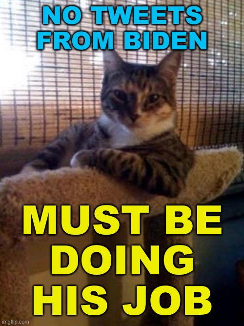 The Most Interesting Cat In The World Meme | NO TWEETS
FROM BIDEN; MUST BE
DOING
HIS JOB | image tagged in memes,the most interesting cat in the world,conservative hypocrisy,joe biden,donald trump,trump tweeting | made w/ Imgflip meme maker