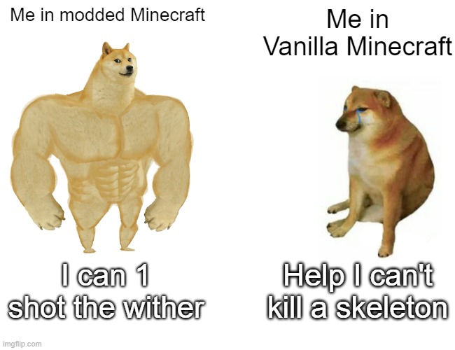 Only people who play and like Minecraft mods understand... | Me in modded Minecraft; Me in Vanilla Minecraft; I can 1 shot the wither; Help I can't kill a skeleton | image tagged in memes,buff doge vs cheems | made w/ Imgflip meme maker