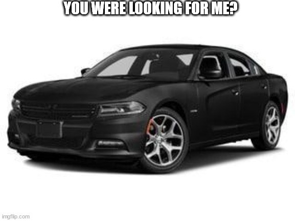 Dodge Charger | YOU WERE LOOKING FOR ME? | image tagged in dodge charger | made w/ Imgflip meme maker