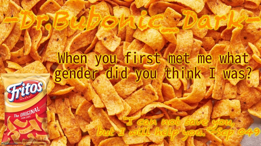 Dr.Bubonocs Fritos temp (thanks jummy) | When you first met me what gender did you think I was? | image tagged in dr bubonocs fritos temp thanks jummy | made w/ Imgflip meme maker