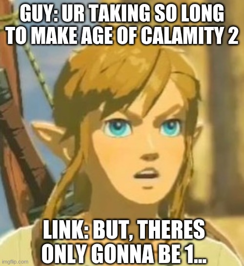 Offended Link | GUY: UR TAKING SO LONG TO MAKE AGE OF CALAMITY 2; LINK: BUT, THERES ONLY GONNA BE 1... | image tagged in offended link | made w/ Imgflip meme maker