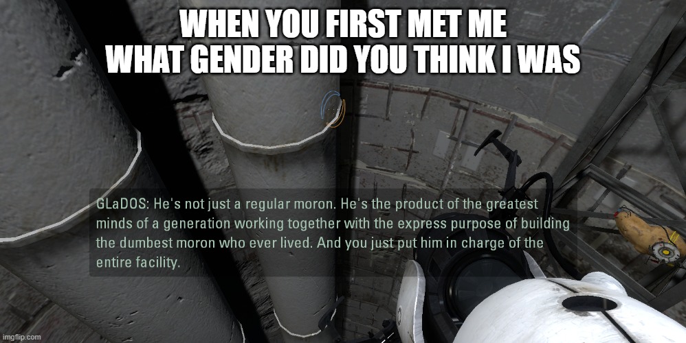 glados moron | WHEN YOU FIRST MET ME WHAT GENDER DID YOU THINK I WAS | image tagged in glados moron | made w/ Imgflip meme maker
