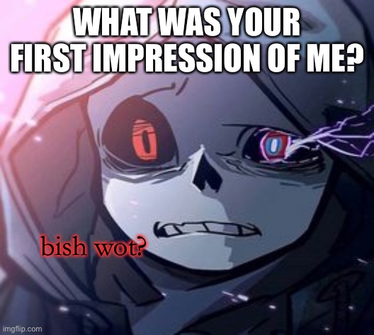 ._. | WHAT WAS YOUR FIRST IMPRESSION OF ME? | image tagged in dust sans bish wot | made w/ Imgflip meme maker