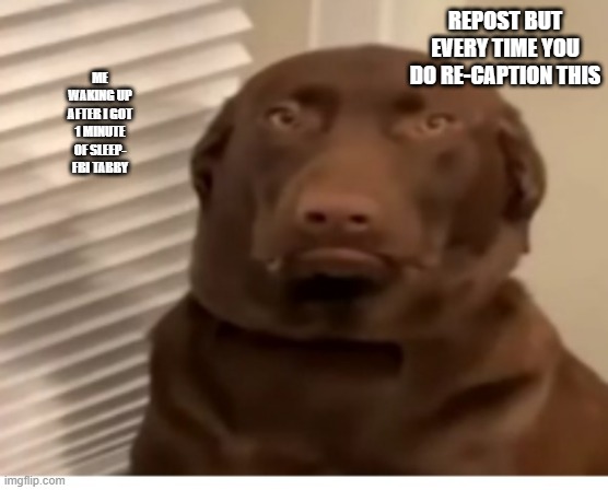 EEEEEEEEEEEEEEEEEEEEEEEEEEEEEEEEEEEEEEEEEEEEEE | REPOST BUT EVERY TIME YOU DO RE-CAPTION THIS; ME WAKING UP AFTER I GOT 1 MINUTE OF SLEEP- FBI TABBY | made w/ Imgflip meme maker