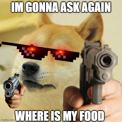 Doge gun | IM GONNA ASK AGAIN; WHERE IS MY FOOD | image tagged in doge gun,funny | made w/ Imgflip meme maker
