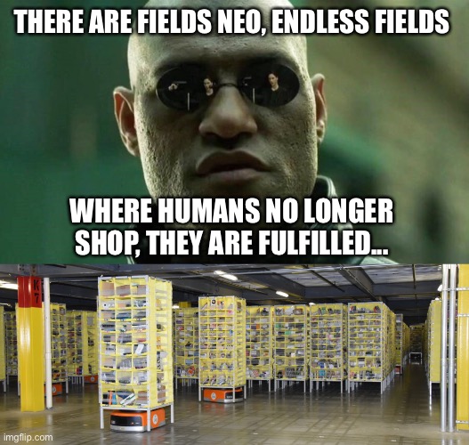 Amazon Matrix | THERE ARE FIELDS NEO, ENDLESS FIELDS; WHERE HUMANS NO LONGER SHOP, THEY ARE FULFILLED... | image tagged in amazon,matrix,robotics,morpheus,fulfillment | made w/ Imgflip meme maker