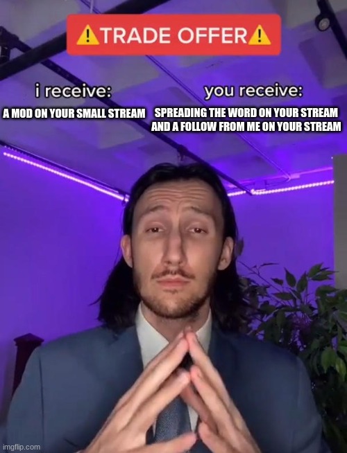 tell me if you dont get this | SPREADING THE WORD ON YOUR STREAM AND A FOLLOW FROM ME ON YOUR STREAM; A MOD ON YOUR SMALL STREAM | image tagged in trade offer | made w/ Imgflip meme maker