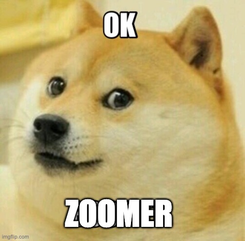 OK BOOMER | ZOOMER | image tagged in ok boomer | made w/ Imgflip meme maker
