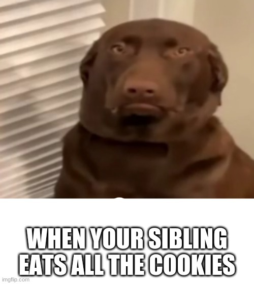 XD | WHEN YOUR SIBLING EATS ALL THE COOKIES | made w/ Imgflip meme maker