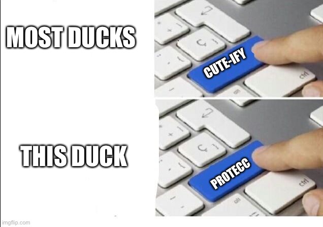 Upgrade PROTECC | CUTE-IFY PROTECC MOST DUCKS THIS DUCK | image tagged in upgrade protecc | made w/ Imgflip meme maker