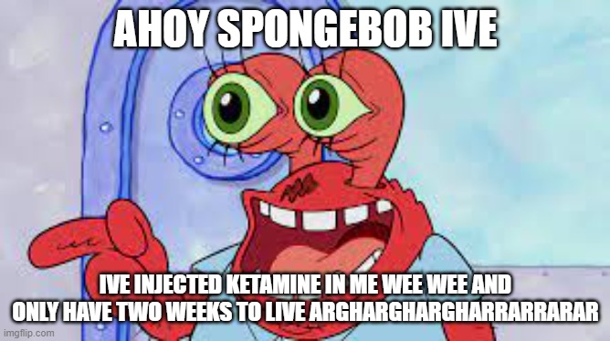ahoy | AHOY SPONGEBOB IVE; IVE INJECTED KETAMINE IN ME WEE WEE AND ONLY HAVE TWO WEEKS TO LIVE ARGHARGHARGHARRARRARAR | image tagged in spongebob | made w/ Imgflip meme maker