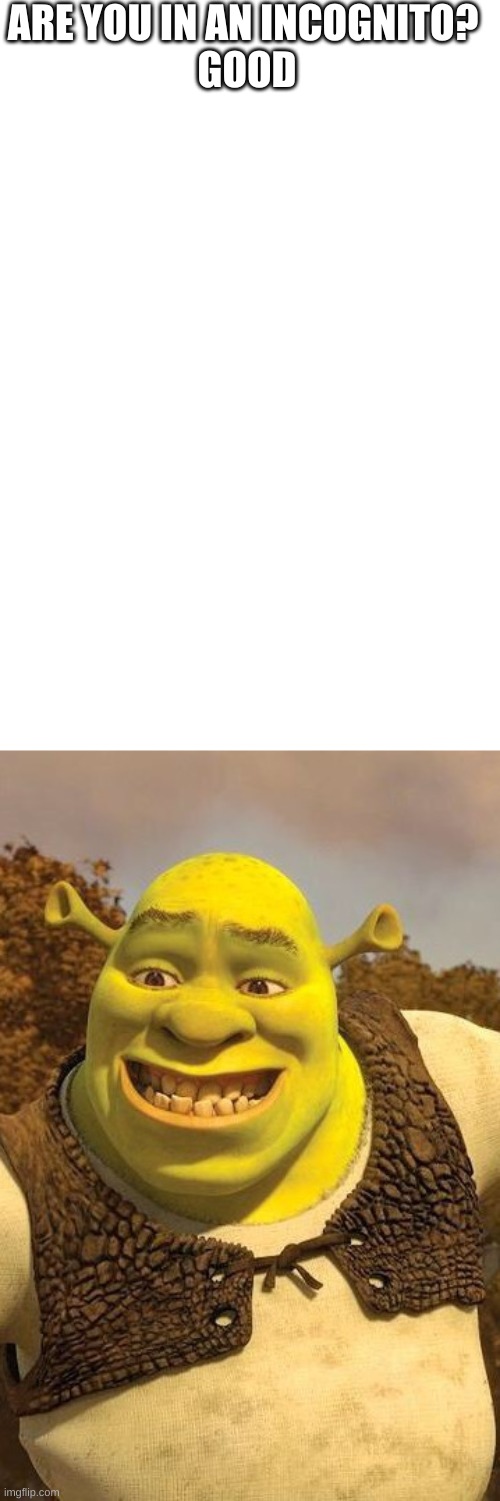 Smiling Shrek | ARE YOU IN AN INCOGNITO? 

GOOD | image tagged in smiling shrek | made w/ Imgflip meme maker
