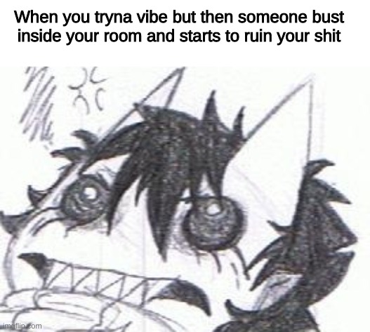Relatable meme | When you tryna vibe but then someone bust inside your room and starts to ruin your shit | image tagged in unfunny | made w/ Imgflip meme maker
