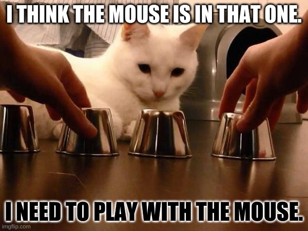 gambling kitteh | I THINK THE MOUSE IS IN THAT ONE. I NEED TO PLAY WITH THE MOUSE. | image tagged in playing catch | made w/ Imgflip meme maker