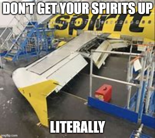spirits down | DON'T GET YOUR SPIRITS UP; LITERALLY | image tagged in just plane jokes,plane crash | made w/ Imgflip meme maker