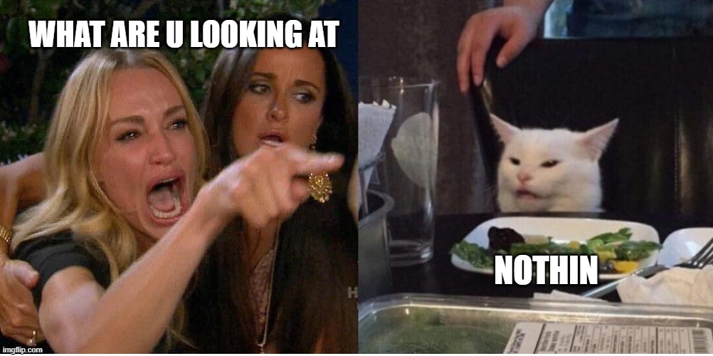 salad cat | WHAT ARE U LOOKING AT; NOTHIN | image tagged in salad cat | made w/ Imgflip meme maker