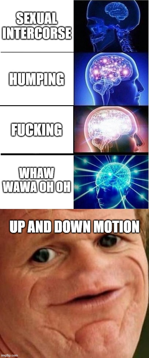 SEXUAL INTERCORSE; HUMPING; FUCKING; WHAW WAWA OH OH; UP AND DOWN MOTION | image tagged in memes,expanding brain,sosig | made w/ Imgflip meme maker