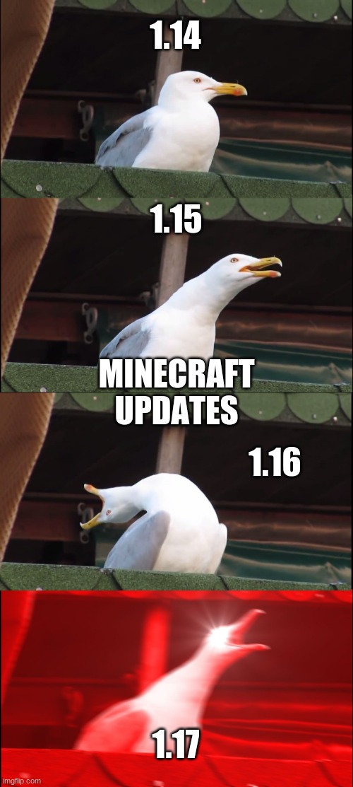 Inhaling Seagull | 1.14; 1.15; MINECRAFT UPDATES; 1.16; 1.17 | image tagged in memes,inhaling seagull | made w/ Imgflip meme maker