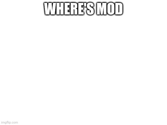 Blank White Template | WHERE'S MOD | image tagged in blank white template | made w/ Imgflip meme maker