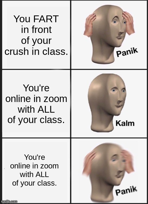 trueeeeee | You FART in front of your crush in class. You're online in zoom with ALL of your class. You're online in zoom with ALL of your class. | image tagged in memes,panik kalm panik | made w/ Imgflip meme maker