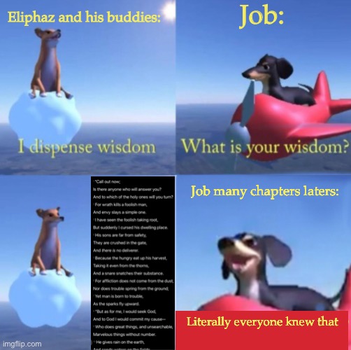 I’ve been reading Job and this is how it’s been going | Job:; Eliphaz and his buddies:; Job many chapters laters:; Literally everyone knew that | image tagged in you re mixing up wisdom with stupidity dog | made w/ Imgflip meme maker