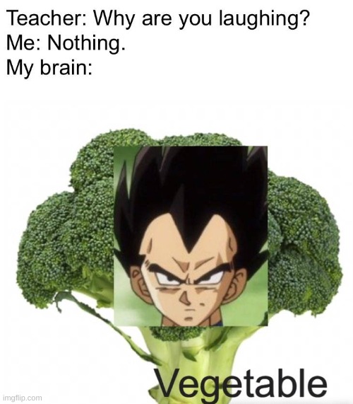 vegita | image tagged in memes,funny memes | made w/ Imgflip meme maker