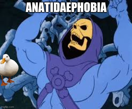 Anatidaephobia be like | ANATIDAEPHOBIA | image tagged in evil laugh skeletor,anatidaephobia | made w/ Imgflip meme maker