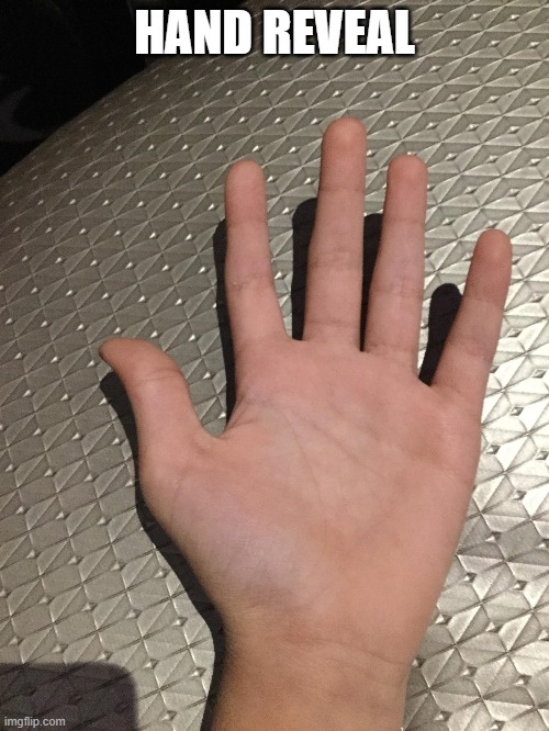 HAND REVEAL | made w/ Imgflip meme maker