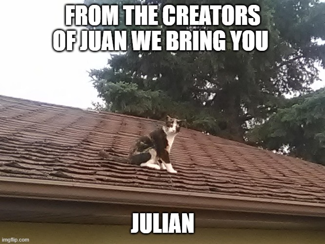 Julian | FROM THE CREATORS OF JUAN WE BRING YOU; JULIAN | image tagged in juan,cats,roof | made w/ Imgflip meme maker