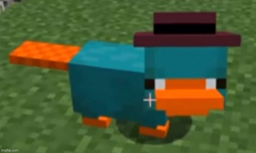 perry the platypus in minecraft | image tagged in memes,minecraft,phineas and ferb | made w/ Imgflip meme maker
