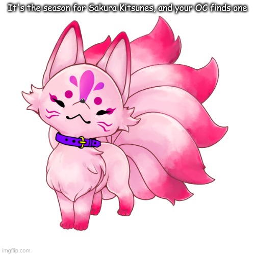Not a WDYD or POV, just a promt | It's the season for Sakura Kitsunes, and your OC finds one | made w/ Imgflip meme maker