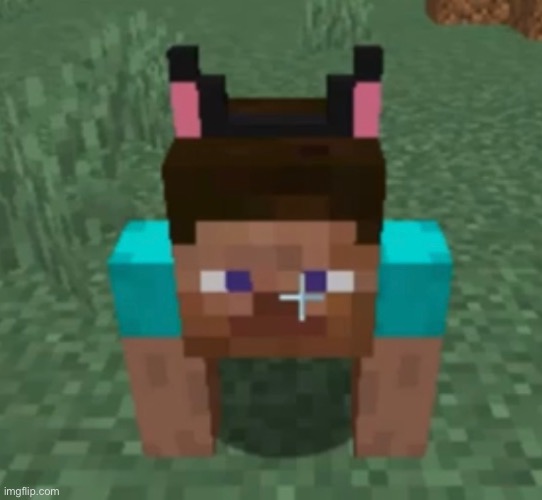 cat steve | image tagged in memes,minecraft,wtf | made w/ Imgflip meme maker
