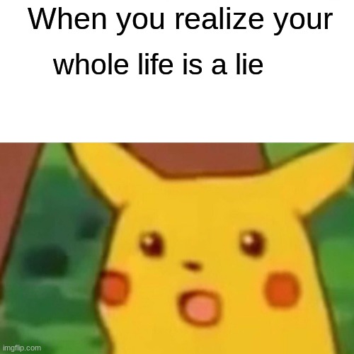 Surprised Pikachu Meme | When you realize your; whole life is a lie | image tagged in memes,surprised pikachu | made w/ Imgflip meme maker