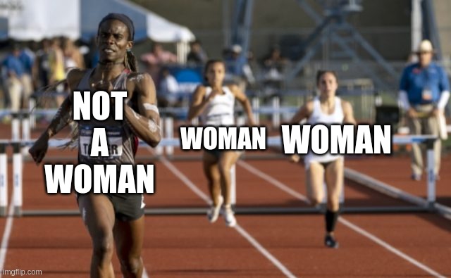 Race Equity | NOT A WOMAN; WOMAN; WOMAN | image tagged in transgender,gender equality,sports,transformers,liberal | made w/ Imgflip meme maker