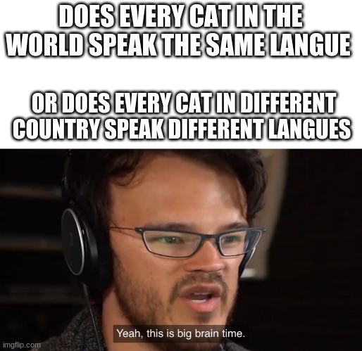 i am sorry for any spelling errorrs | DOES EVERY CAT IN THE WORLD SPEAK THE SAME LANGUE; OR DOES EVERY CAT IN DIFFERENT COUNTRY SPEAK DIFFERENT LANGUES | image tagged in yeah this is big brain time | made w/ Imgflip meme maker