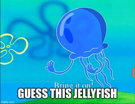 Bring it on! | GUESS THIS JELLYFISH | image tagged in bring it on | made w/ Imgflip meme maker