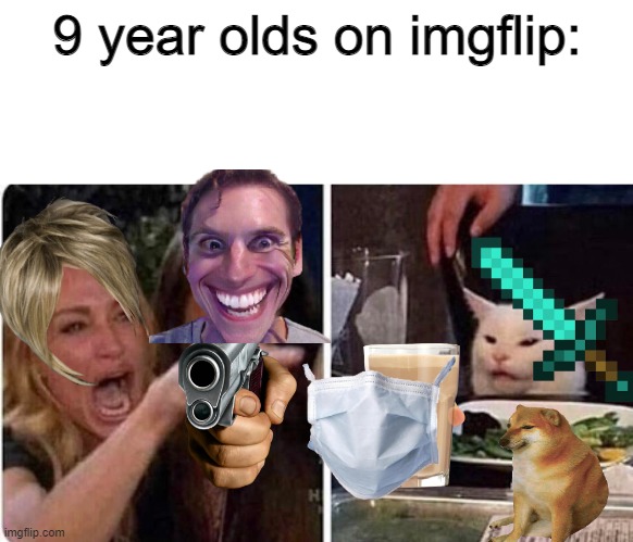 Lady screams at cat | 9 year olds on imgflip: | image tagged in lady screams at cat | made w/ Imgflip meme maker