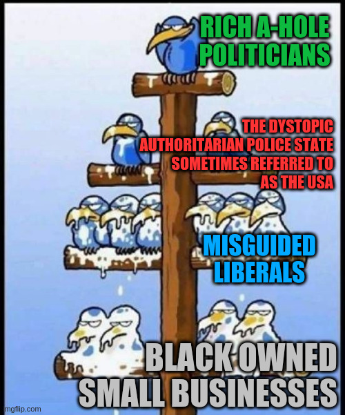 black businesses matter | RICH A-HOLE POLITICIANS; THE DYSTOPIC
AUTHORITARIAN POLICE STATE
SOMETIMES REFERRED TO
AS THE USA; MISGUIDED
LIBERALS; BLACK OWNED
SMALL BUSINESSES | image tagged in blm,antifa,riots,police brutality,police state,corruption | made w/ Imgflip meme maker